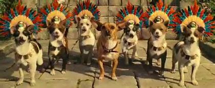 beverly hills chihuahua mexico scene